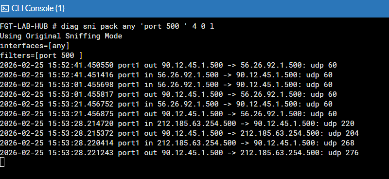 Guía diagnose sniffer packet en FortiGate: Comandos y Ejemplos Reales